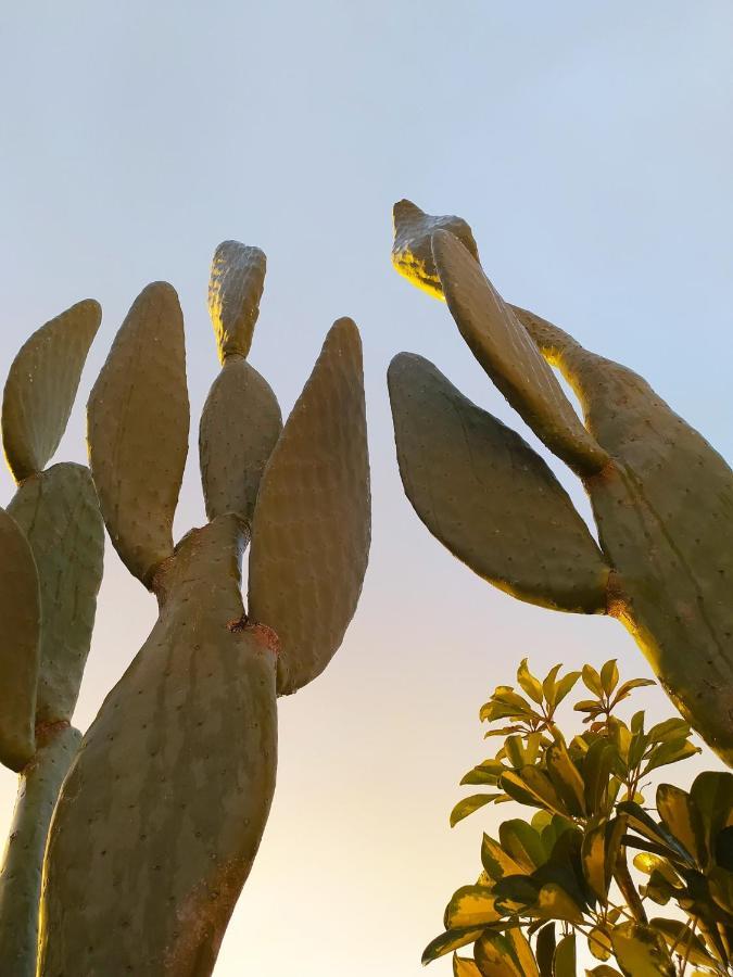 فندق Giardino Frannicola ماليي المظهر الخارجي الصورة