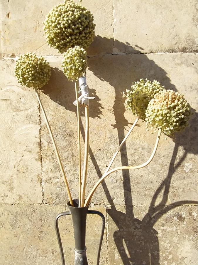 فندق Giardino Frannicola ماليي المظهر الخارجي الصورة