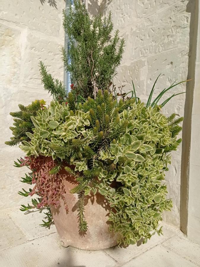فندق Giardino Frannicola ماليي المظهر الخارجي الصورة