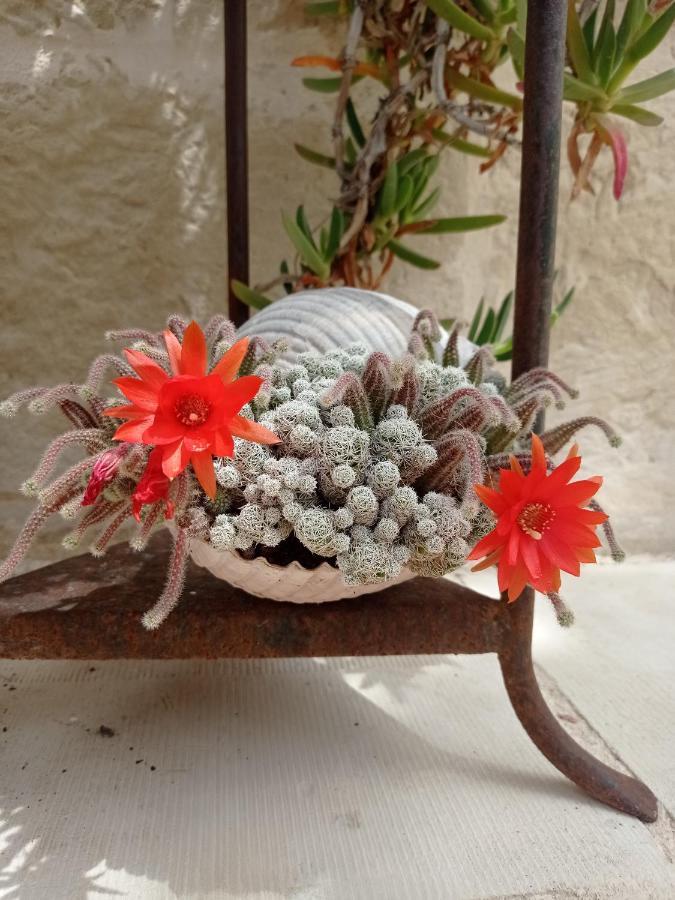 فندق Giardino Frannicola ماليي المظهر الخارجي الصورة